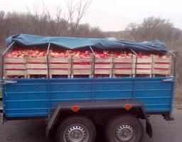 «Фантом» затримав автомобілі, які незаконно намагалися переправити на окуповану територію понад 2 тонн продуктів 