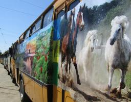До дня області відбувся парад шкільних автобусів
