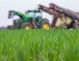 Завершені весняно-польові роботи в господарствах області