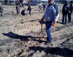 Співробітники облдержадміністрації долучилася до акції «Майбутнє лісу в твоїх руках»