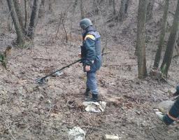 На Луганщині виявлено 35 одиниць вибухонебезпечних предметів