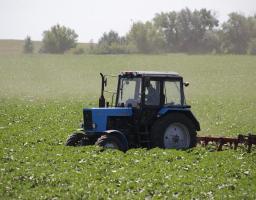 Кабмін у 2021 році передбачив підтримку аграріїв на 4,5 млрд грн