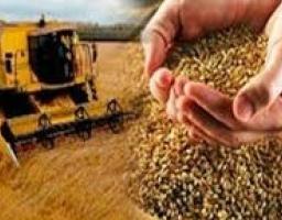 у Сватівському районі утворено управління агропромислового розвитку