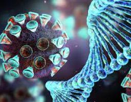 Лабораторно підтверджено 9 нових випадків COVID-19 в області 