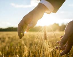 Завдяки підтримці Уряду молодий фермер до 35 років може отримати до 40 тисяч  гривень