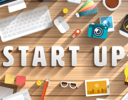 ФІНАНСУВАННЯ IT СТАРТАПІВ БІЗНЕС-ІНКУБАТОРОМ WANNABIZ