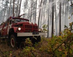 Пожежі в природних екосистемах на Луганщині, які виникли 30 вересня та 1 жовтня, ліквідовані