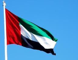 ОСОБЛИВОСТІ ОФОРМЛЕННЯ МИТНИХ ДОКУМЕНТІВ ДЛЯ ЕКСПОРТУ В ОАЕ