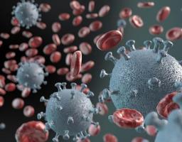 За минулу добу на Луганщині зафіксовано 204 нових випадки COVID-19. Від ускладнень померли ще шестеро хворих