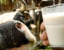 Цьогоріч власникам селянських господарств виплачена компенсація більше 600 тисяч гривень