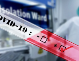 Лабораторно підтверджено 247 нових випадків COVID-19 в області. Від ускладнень померло ще п’ятеро хворих