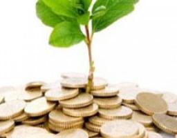 ОГОЛОШЕННЯ