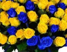 Працівники агропромислового комплексу Луганщини відзначені Президентом України