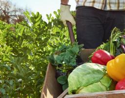 Підтримка аграрного і сільського розвитку Луганщини