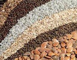 Державні програми підтримки підприємств АПК в галузі рослинництва в 2018 році