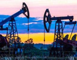 Держгеонадра оголосили про старт масштабних вуглеводних проєктів, модернізацію законодавства та цифровізація сервісів Служба