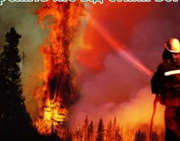 Бережіть ліс від стихії вогню  