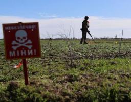 11 вересня для ВПО Луганщини організують рекрутинговий онлайн-захід Представництва «The HALO Trust» в Україні