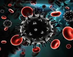 У Сєвєродонецьку підтверджений ще один випадок захворювання на COVID-19. 