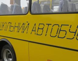 Уряд перерозподілив 490 мільйонів гривень на придбання шкільних автобусів у 2021 році
