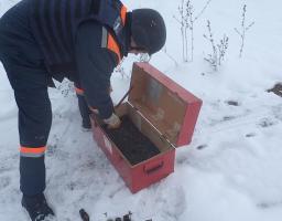 За минулу добу піротехніки ДСНС вилучили 31 одиницю вибухонебезпечних предметів