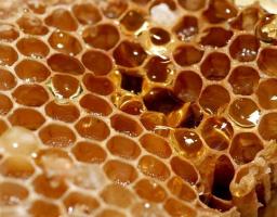 ГО «Асоціація бджолярів «Медова артіль» звернулася зі своїми проблемами до Юрія Гарбуза