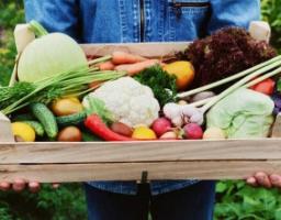 Для сімейних фермерських господарств спрощено оподаткування