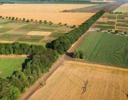 До уваги власників землі та землекористувачів! Інформація щодо індексації нормативної грошової оцінки земель