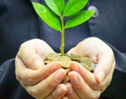 На відновлення навколишнього середовища Луганщини сплачено майже 17 мільйонів гривень екоподатку