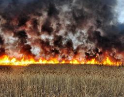 Триває збір позовів аграріїв на компенсацію збитків внаслідок агресії рф