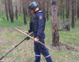Піротехніками на Луганщині виявлено та вилучено 25 артилерійських снарядів