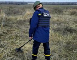 Піротехніками на Луганщині виявлено та вилучено 65 одиниць вибухонебезпечних предметів 