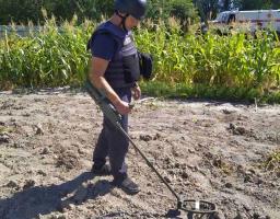 Піротехніками на Луганщині виявлено та вилучено 46 артилерійських снарядів 