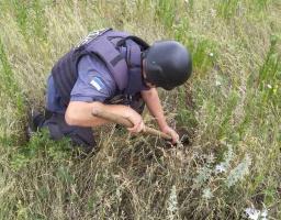 Піротехніками на Луганщині виявлено та вилучено 55 артилерійських снарядів 