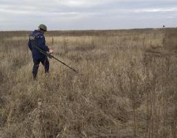 Піротехніками на Луганщині виявлено та вилучено 58 артилерійських снарядів 