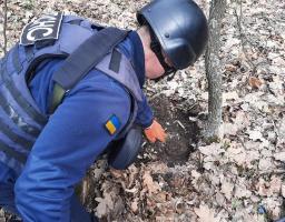 Піротехніками на Луганщині виявлено та вилучено 29 артилерійських снарядів
