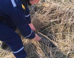 Піротехніками на Луганщині вилучено 223 одиниці вибухонебезпечних предметів 