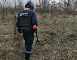 Піротехніками на Луганщині виявлено та вилучено 47 артилерійських снарядів 