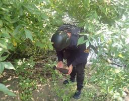 При обстеженні піротехніками місцевості Попаснянщини вибухонебезпечних предметів не виявлено 