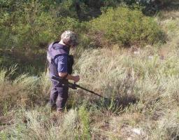 Піротехніками на Луганщині виявлено 35 артилерійських снарядів