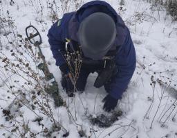 Піротехніками на Луганщині виявлено та вилучено 34 артилерійських снаряди 