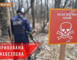 Піротехніками на Луганщині виявлено та вилучено 20 артилерійських снарядів 