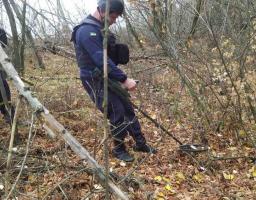 Піротехніками на Луганщині виявлено та вилучено 70 вибухонебезпечних предметів 