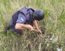 Піротехніками на Луганщині виявлений 71 вибухонебезпечний предмет