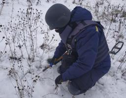 Піротехніками на Луганщині виявлено та вилучено 42 артилерійських снаряди 