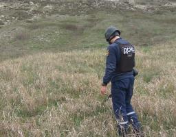 Піротехніками на Луганщині виявлено та знищено два вибухонебезпечних предмета 