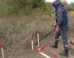 Піротехніками на Луганщині виявлено та вилучено 55 одиниць вибухонебезпечних предметів 