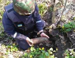 Піротехніками на Луганщині виявлено та знищено один вибухонебезпечний предмет 