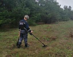 Піротехніками на Луганщині вилучено 28 одиниць вибухонебезпечних предметів 