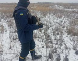 Піротехніками на Луганщині виявлено та вилучено 82 вибухонебезпечних предмети  